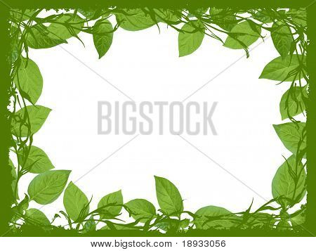 Groene plant frame, natuurlijke grens