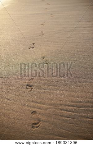 Footpath Of Foot Prints On Beach Sand