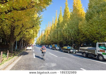 TOKYO JAPAN - NOVEMBER 21 2014 Icho Namiki Street at Tokyo The street nearby Meiji Jingu Gaien that has beautiful Ginkgo along length of the street in autumn is famous place and popular for tourist