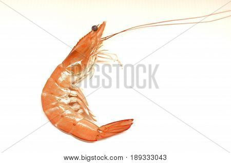 Shrimp Shrimp or Tom Yum Shrimp on a white background.