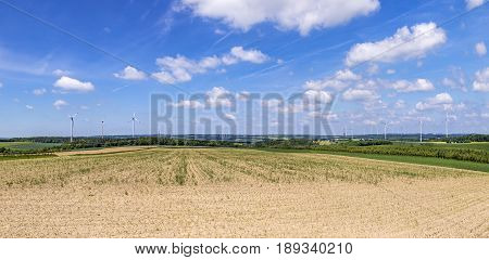 Panoramic View Of Wind Generators