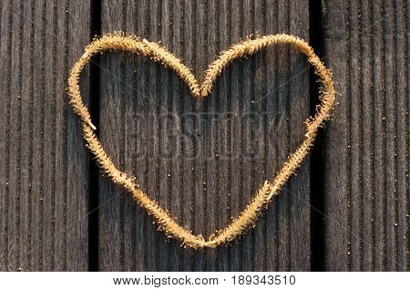 Abstract Heart shape made of a Willow male flower on the wooden floor