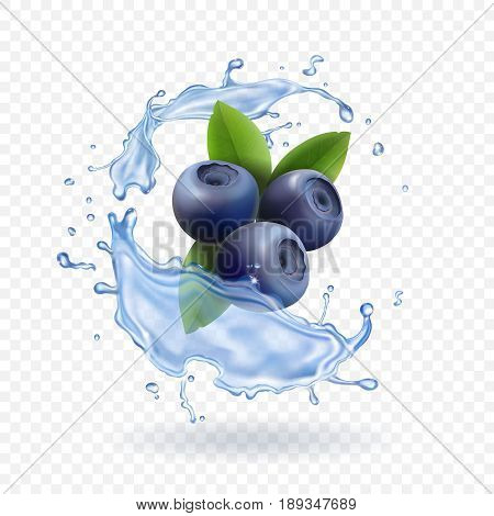 Blueberry and water splash isolated on transparent background. Realistic dairy prodact.