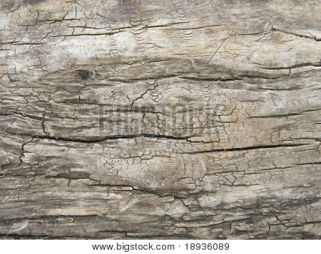 Superficie in legno incrinato vecchio