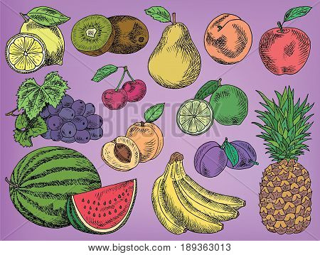 Fruits menu, summer garden, lemon, apple, grape, watermelon, pear, peach, plum, cherry, lime, kiwi, apricot, banana, pineapple
