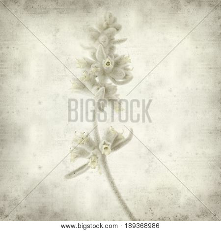 Textured Old Paper Background