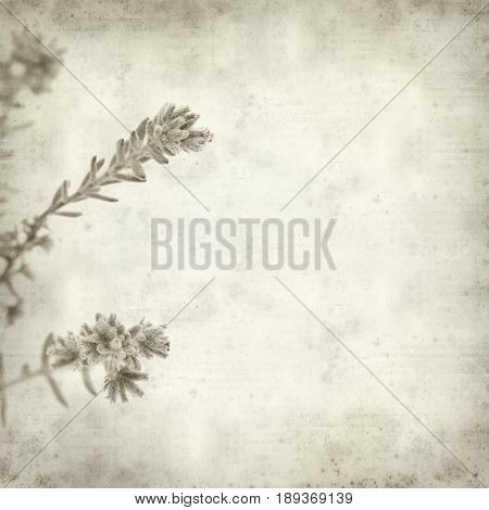 Textured Old Paper Background