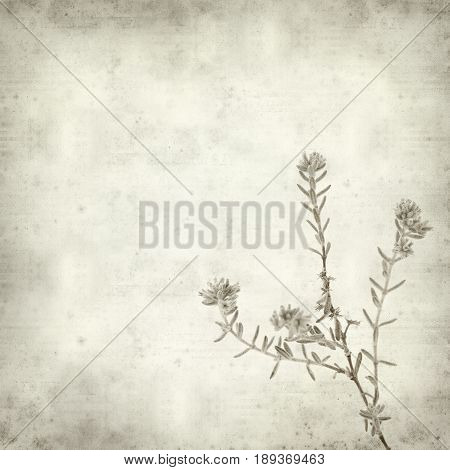 Textured Old Paper Background