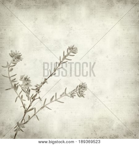 Textured Old Paper Background