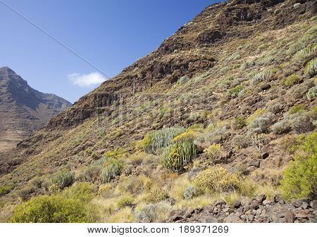 Western Gran Canaria, May