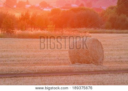 Hayrick In Sunset Light