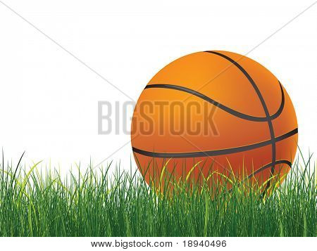 Basketbalový míč na trávě. Vektor.