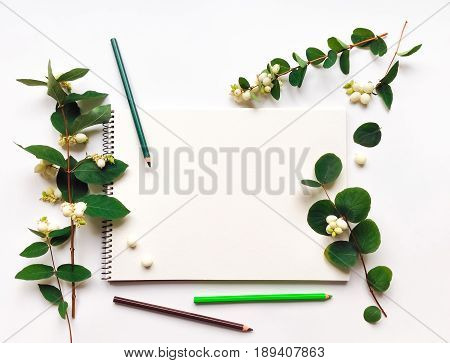 Natural composition with sketchbook and pencils on white background decorated with green snowberry branches and berries. Flat lay top view view from above