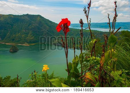 Taal Volcano And Flowers In Tagaytay, Philippines