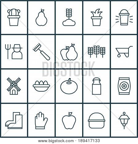 Icons Set. Collection Of Fruits, Grower, Protection Mitt And Other Elements. Also Includes Symbols Such As Duchess, Tomato, Jug.