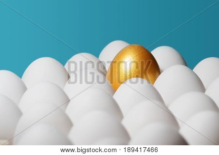 The concept of individuality exclusivity better choice. One golden egg among white eggs on blue background.