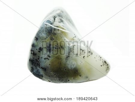 moss agate chalcedony quartz semigem geological mineral isolated