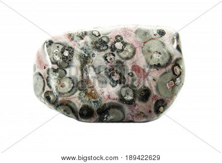 leopard jasper chalcedony quartz semigem geological mineral isolated