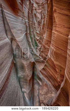 Zebra Canyon is a vivid striped and very narrow gorge. The awsome zig-zag shapes were created by water. Grand Staircase-Escalante National Monument, Utah. USA