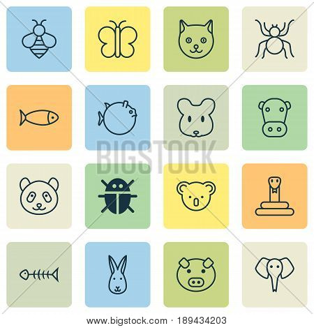 Animal Icons Set. Collection Of Spider, Seafood Skeleton, Rat And Other Elements. Also Includes Symbols Such As Butterfly, Pussy, Snake.