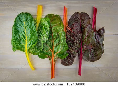 Six Leaves Of Rainbow Chard On Wooden Background