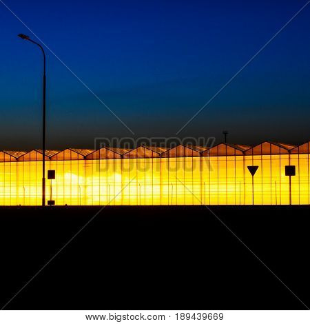 Greenhouse plant at night. Night landscape luminous glass construction. Silhouette of road signs on a background of a facade of a hothouse