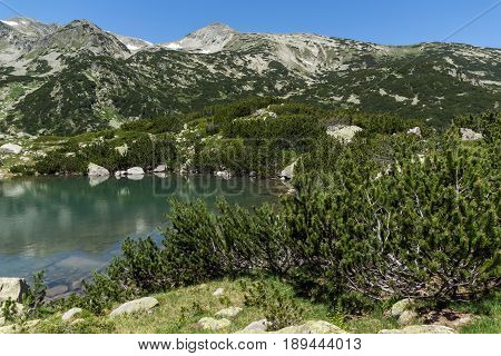 Landscape with Banski lakes and  Small Polezhan peak, Pirin Mountain, Bulgaria