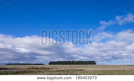Meadows and small forest in Northern Tasmania Australia close to Longford and Launceston.