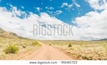Dirt Road