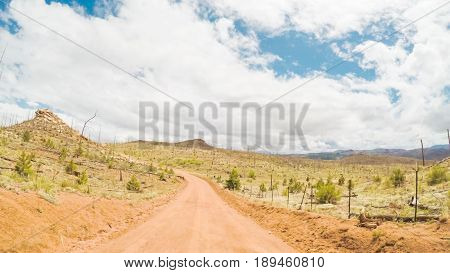 Dirt Road