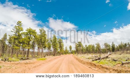 Dirt Road
