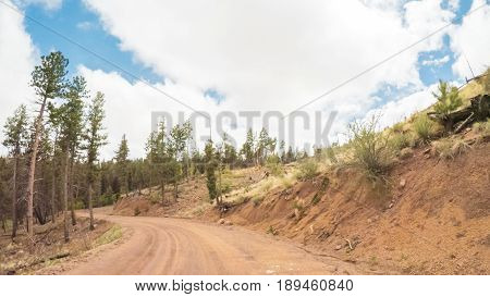 Dirt Road