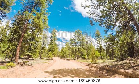 Dirt Road