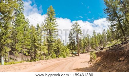 Dirt Road