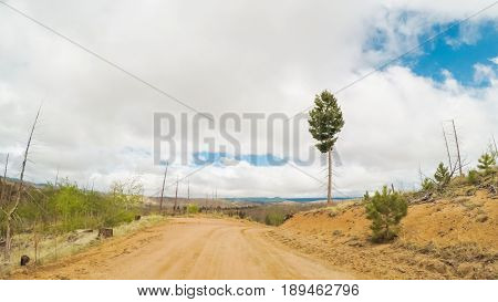 Dirt Road