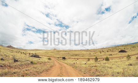 Dirt Road