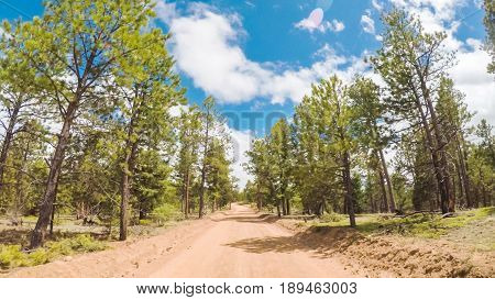 Dirt Road