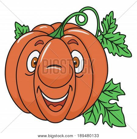 Cheerful fresh pumpkin cartoon character. On white background.