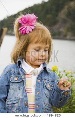 Bannie Blick auf Blume