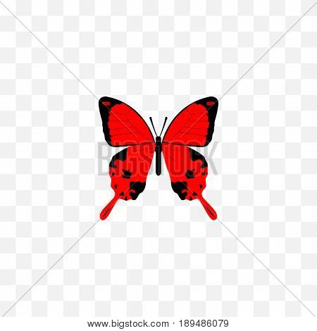 Realistic Archippus Element. Vector Illustration Of Realistic Sangaris Isolated On Clean Background. Can Be Used As Red, Julia And Butterfly Symbols.