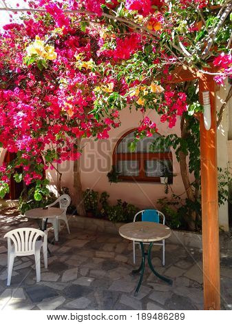 window architecture detail in house building with bougainvillea Greece