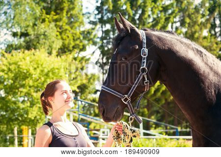 Young lady equestrian near her dark horse at hippodrom. Vibrant multicolored summertime outdoors horizontal image with vintage filter.