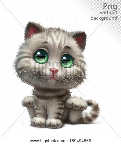 gray kitten sits, in full growth, png without background