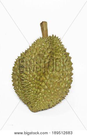 Close up texture of Durian fruit. the famous tropical fruit in Thaialand.