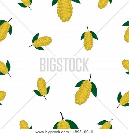 Seamless pattern with Langsat fruit vector illustration