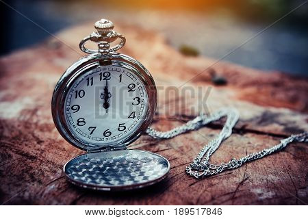 Pocket watch on an old tree stump