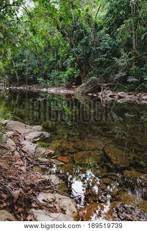 Small mountain stream in the shade of the tropical forest Mu Koh Chang National Park, Thailand. View from the trail to Khlong Phlu waterfall. Natural background. Selective focus on center of photo
