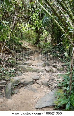 nature walkway in Khao Chamao , Rayong , Thailand