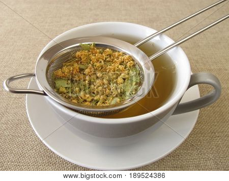 Loose tilia flowers tea in tea strainer