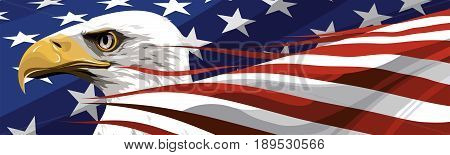 The national symbol of the United States of America